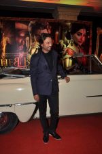 Irrfan Khan at the Trailor launch of Saheb Biwi Aur Gangster Returns in J W Marriott, Mumbai on 31st Jan 2013 (66).JPG